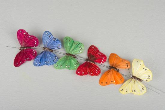 6 fjärilar i olika färger