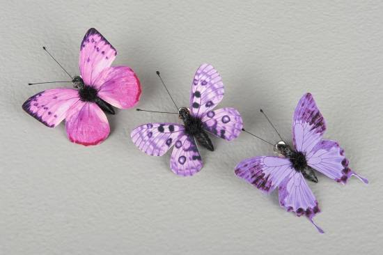 Lila och rosa fjärilar