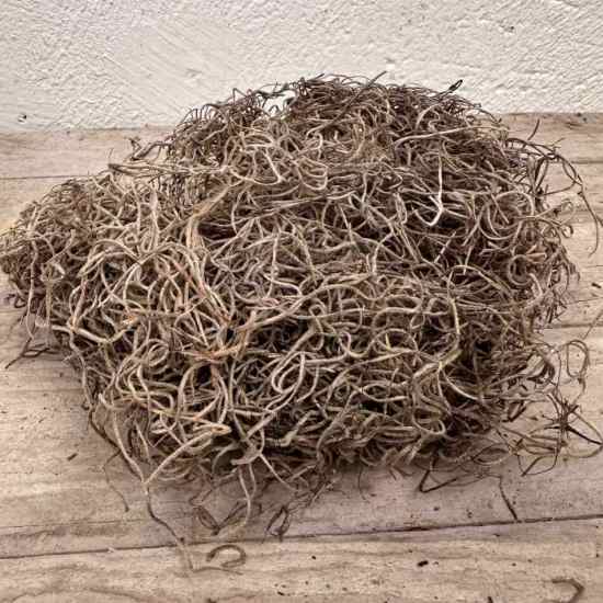 Tillandsia, konserverad. 50g i gruppen Högtider / Jul / Julpynt / Jul / Julpynt / Naturprodukter hos Kransmakaren.se (13-0018-000-50)