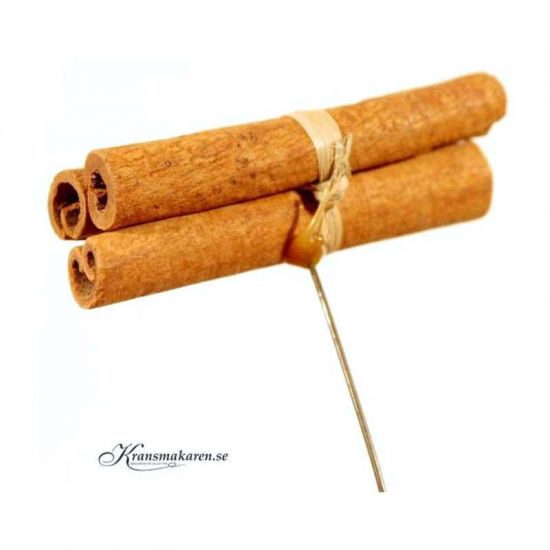 Kanel, trådad, 10 cm. 3 st i gruppen Pynt & dekorationer / Naturprodukter / Kanel hos Kransmakaren.se (420040-3)