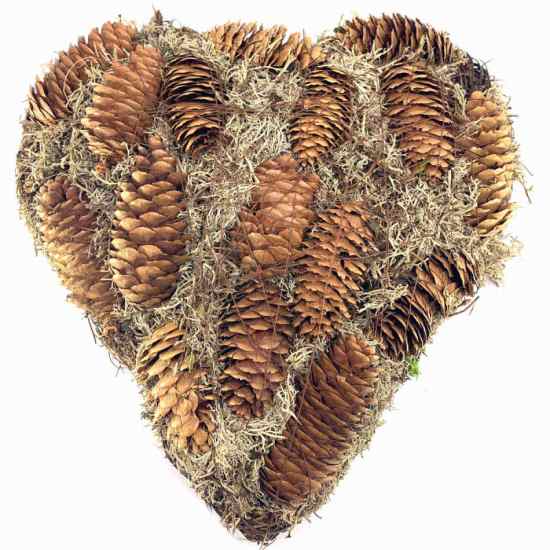 Hjärta med kottar och mossa ca 24 x 25 cm i gruppen Gravdekorationer / Gravsmyckning hos Kransmakaren.se (54092)