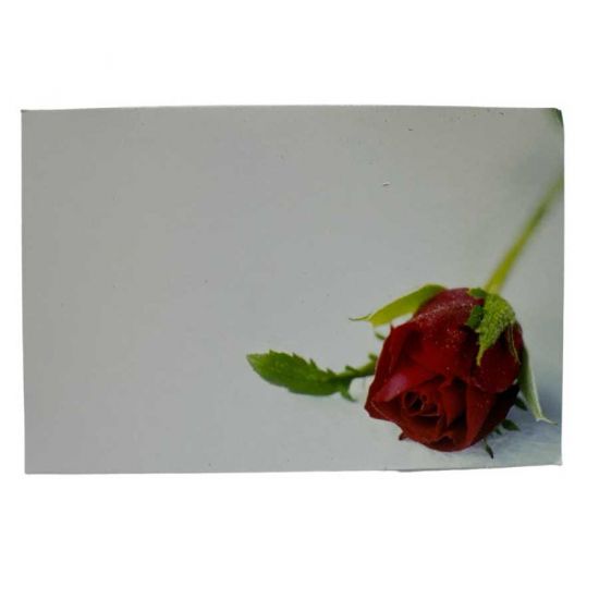 Blomsterkort med ros 50st i gruppen Krans & Floristtillbehör / Övrigt / Blomsterkort hos Kransmakaren.se (60-00022)