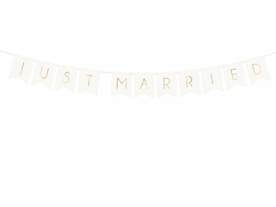 Just married banner 