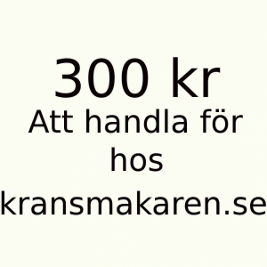 Tillgodohavande 300 kr