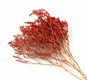 Risp / Statice, Röd. 25g