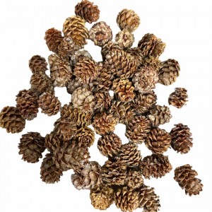 Kottar Salignum ca 450 st (storpack)