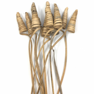 Cane Cone / spiraler, 10 st