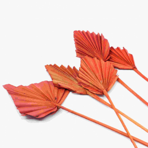Palmblad torkade, Orange, 5 st