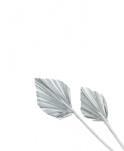 Palmblad torkade, silverfärgade, 5 st