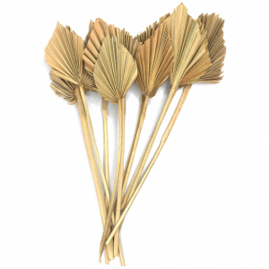 Palmblad torkade, 10 st