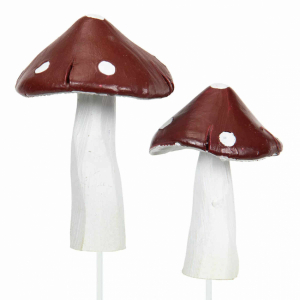 Svampar 2 st olika storlekar