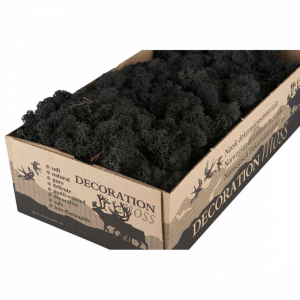 Vitmossa / Fönsterlav, svartgrå. 500g