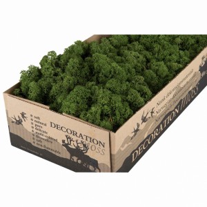 Vitmossa / Fönsterlav, mörkgrön. 50g