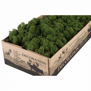 Vitmossa / Fönsterlav, mörkgrön. 500g