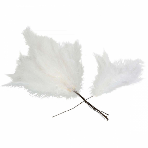 Fjädrar, duniga, Vita. 12 st