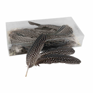 Prickiga fjädrar. 6 st