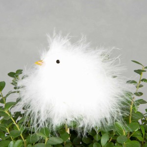 Kyckling / påskkyckling. Vit