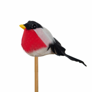 Domherre, ca 7 cm