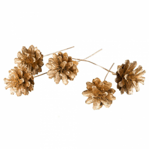 Tallkottar Guldfärgade, 5 st