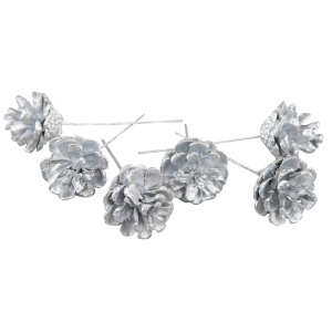 Kottar,  tall, silverfärgade, 5 st