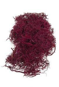 Curly moss, Julröd, 130 gr.