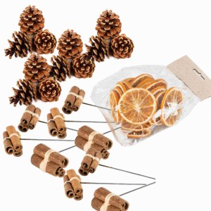 Storpack  - Kottar, kanel och apelsinskivor