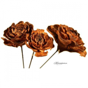 Kotterosor i olika storlekar, bruna, 70 st