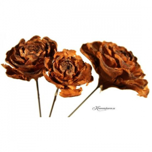 Kotterosor i olika storlekar, bruna, 3 st