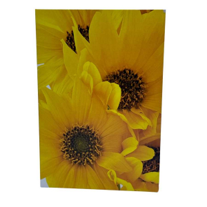 Blomsterkort dubbelvikt med gula tusenskönor 25st