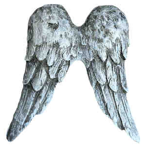 Änglavinge i grått