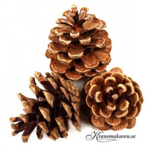 Kottar, ca 3-8 cm. ca 10 Kg (Storpack)