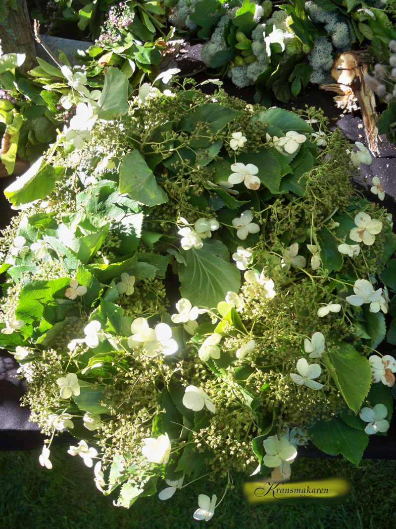 Höstkrans av klätterhortensia