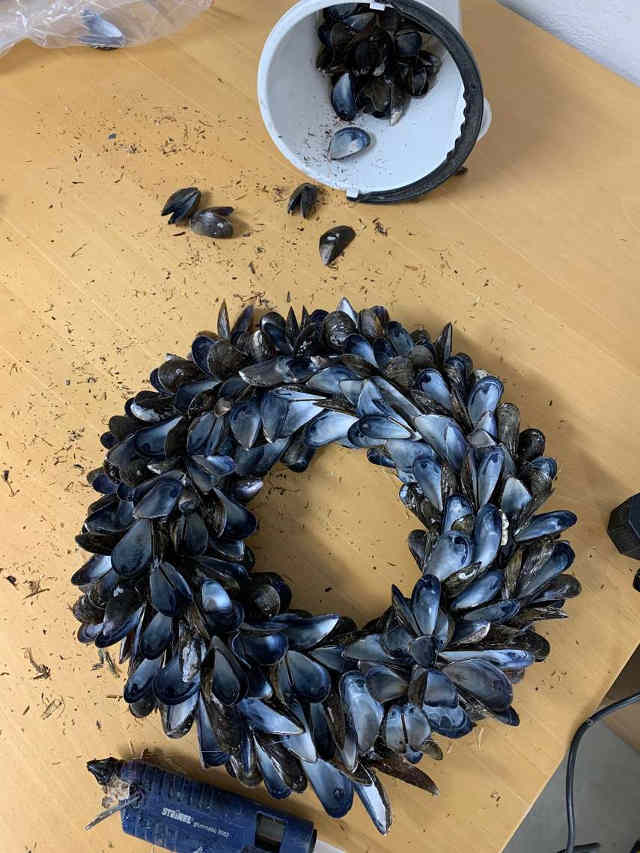 Färdig krans av musslor