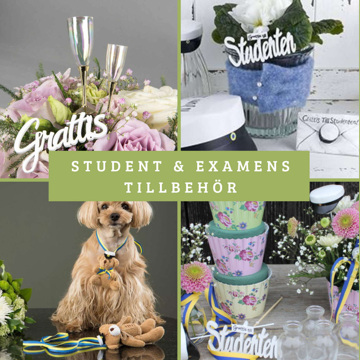 Student och examensdekorationer