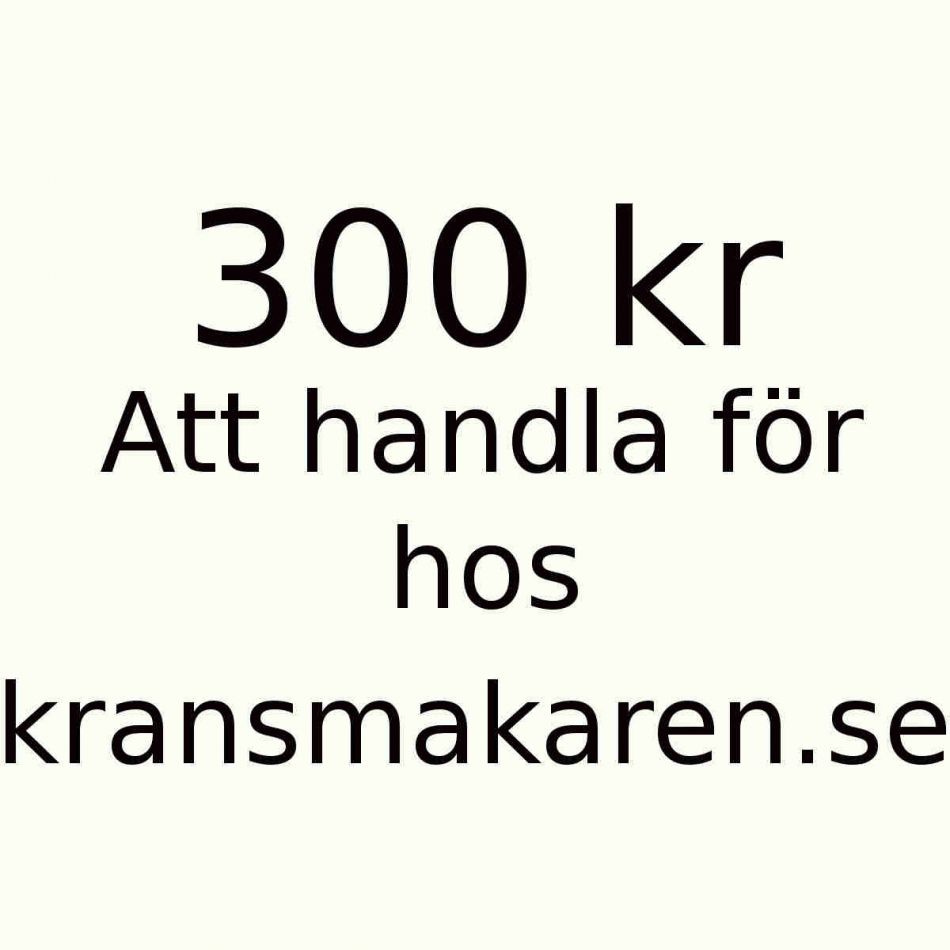 Tillgodohavande 300 kr