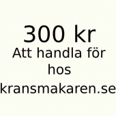 Tillgodohavande 300 kr Tillgodohavande 300 kr