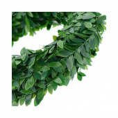 Buxbom på tråd, storbladig, konstgjord, ca 7 meter Buxbom på tråd, storbladig, konstgjord, ca 7 meter