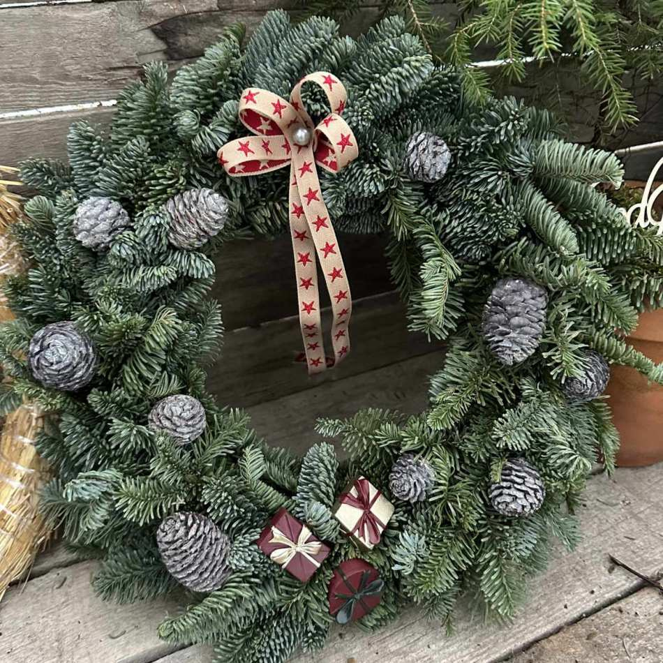 Kottar Murii zapfern ca 10-12 st