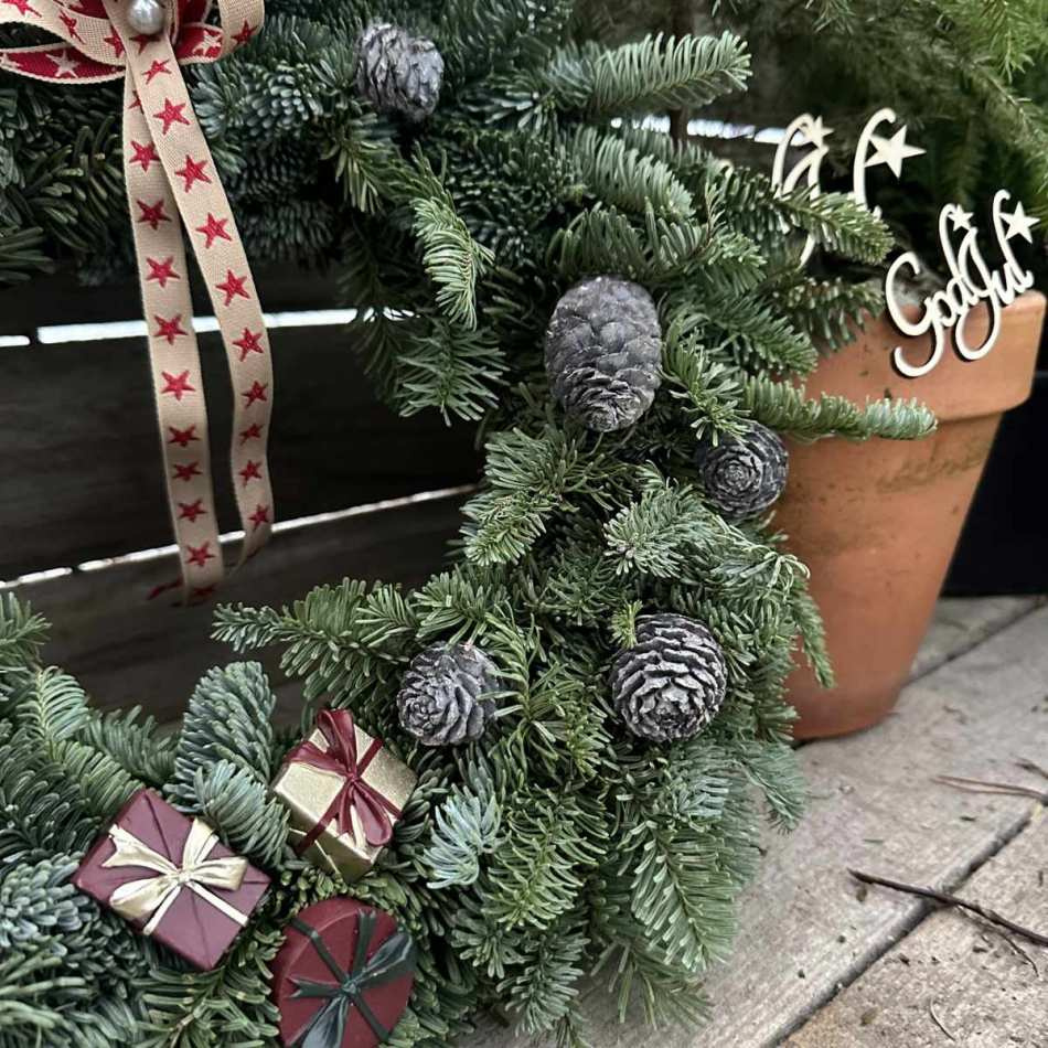 Kottar Murii zapfern ca 10-12 st