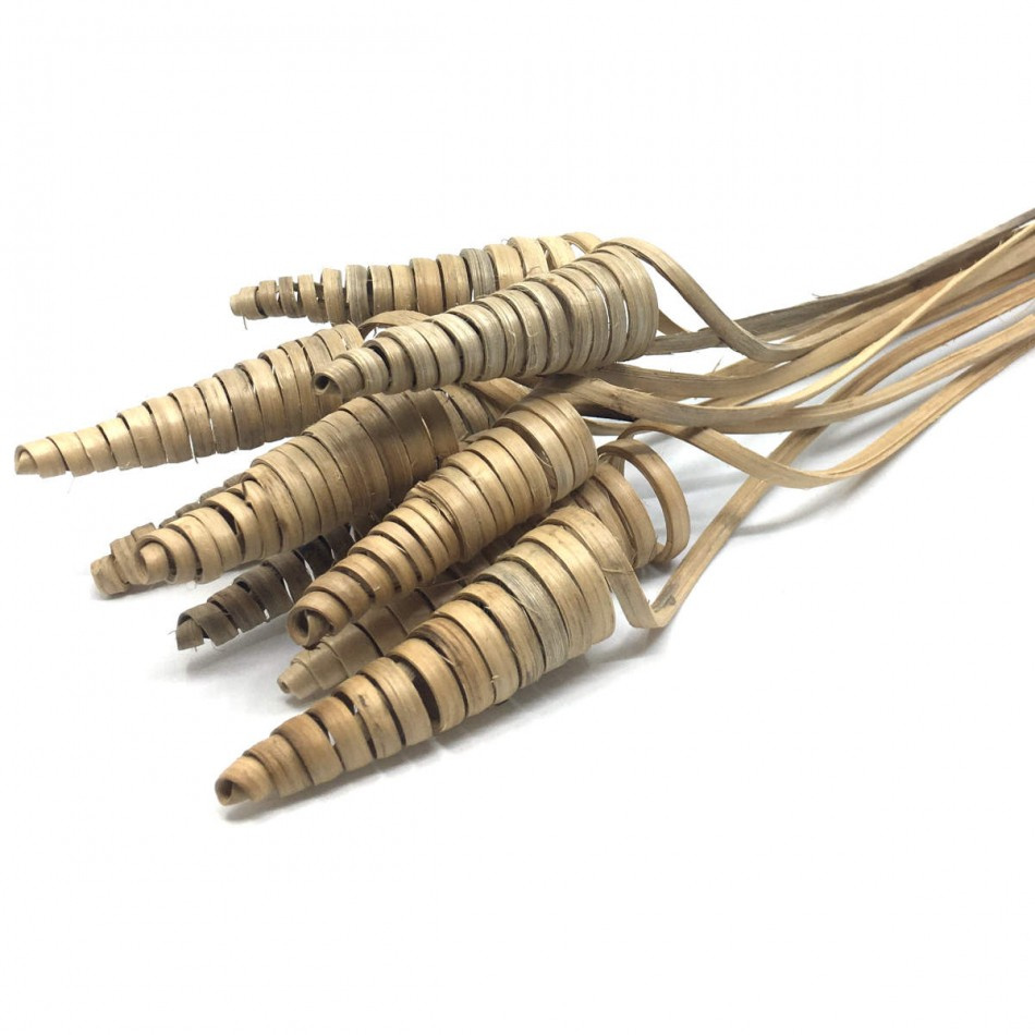 Cane Cone / spiraler, 10 st