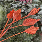 Palmblad torkade, Orange, 5 st