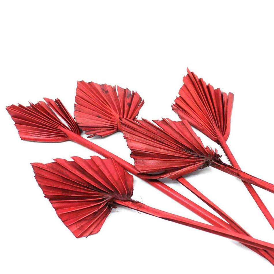 Palmblad torkade, mörkröda, 5 st