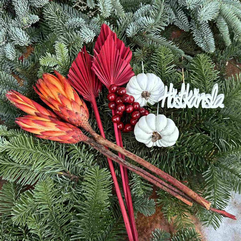 Palmblad torkade, mörkröda, 5 st