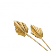 Palmblad torkade, guldfärgade, 5 st Palmblad torkade, guldfärgade, 5 st