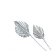 Palmblad torkade, silverfärgade, 5 st Palmblad torkade, silverfärgade, 5 st
