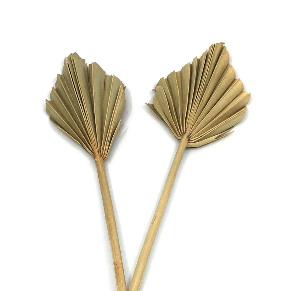 Palmblad torkade, 10 st