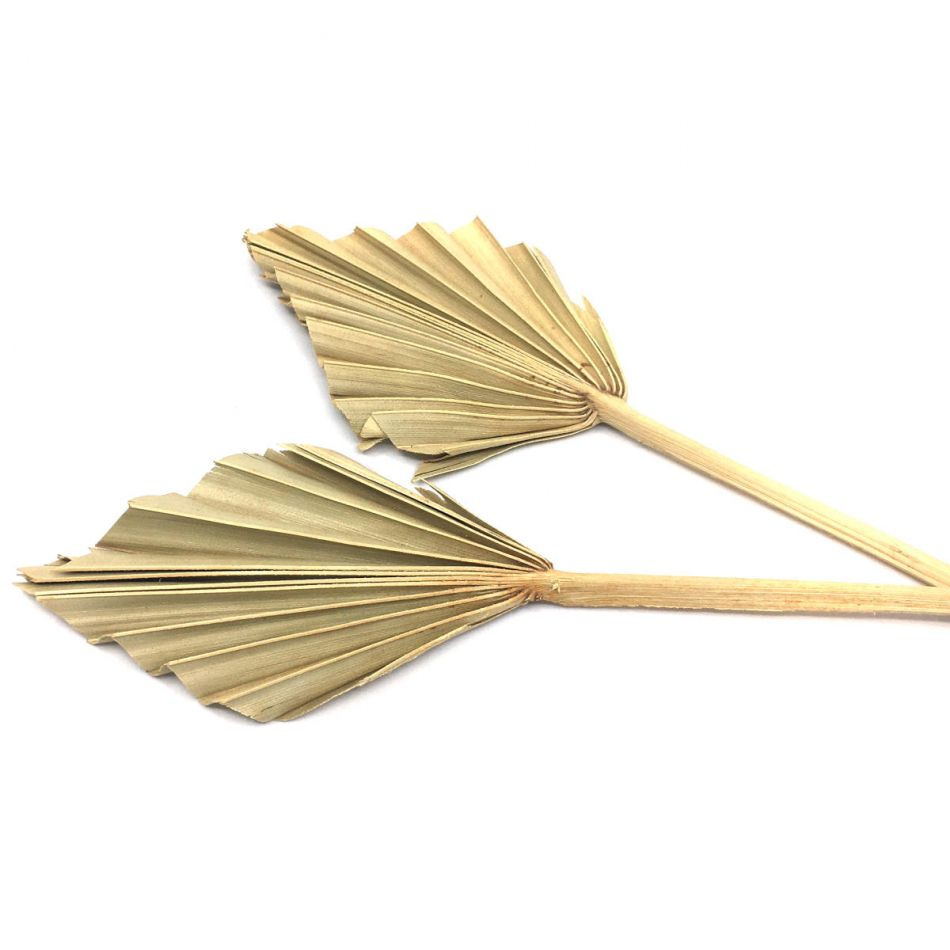 Palmblad torkade, 10 st