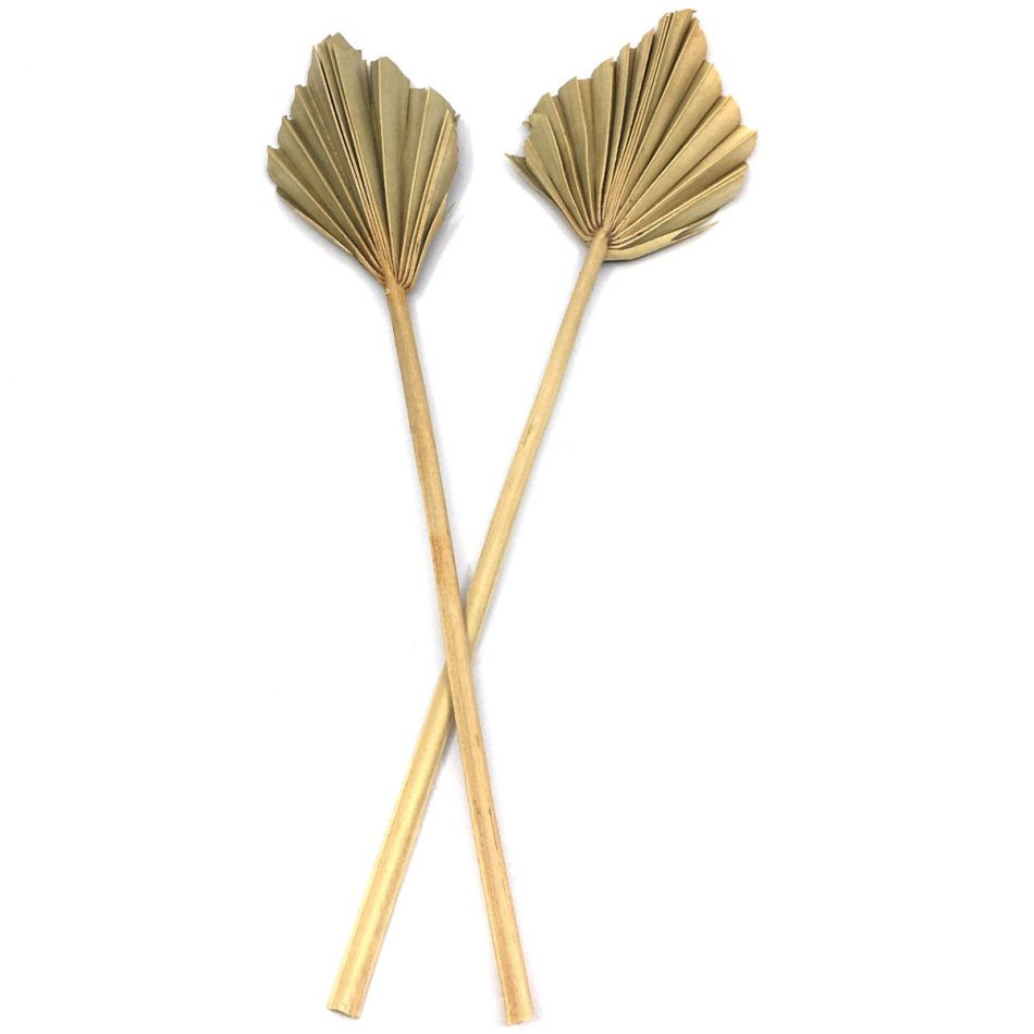 Palmblad torkade, 10 st