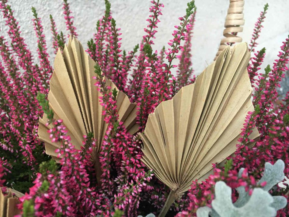 Palmblad torkade, 10 st