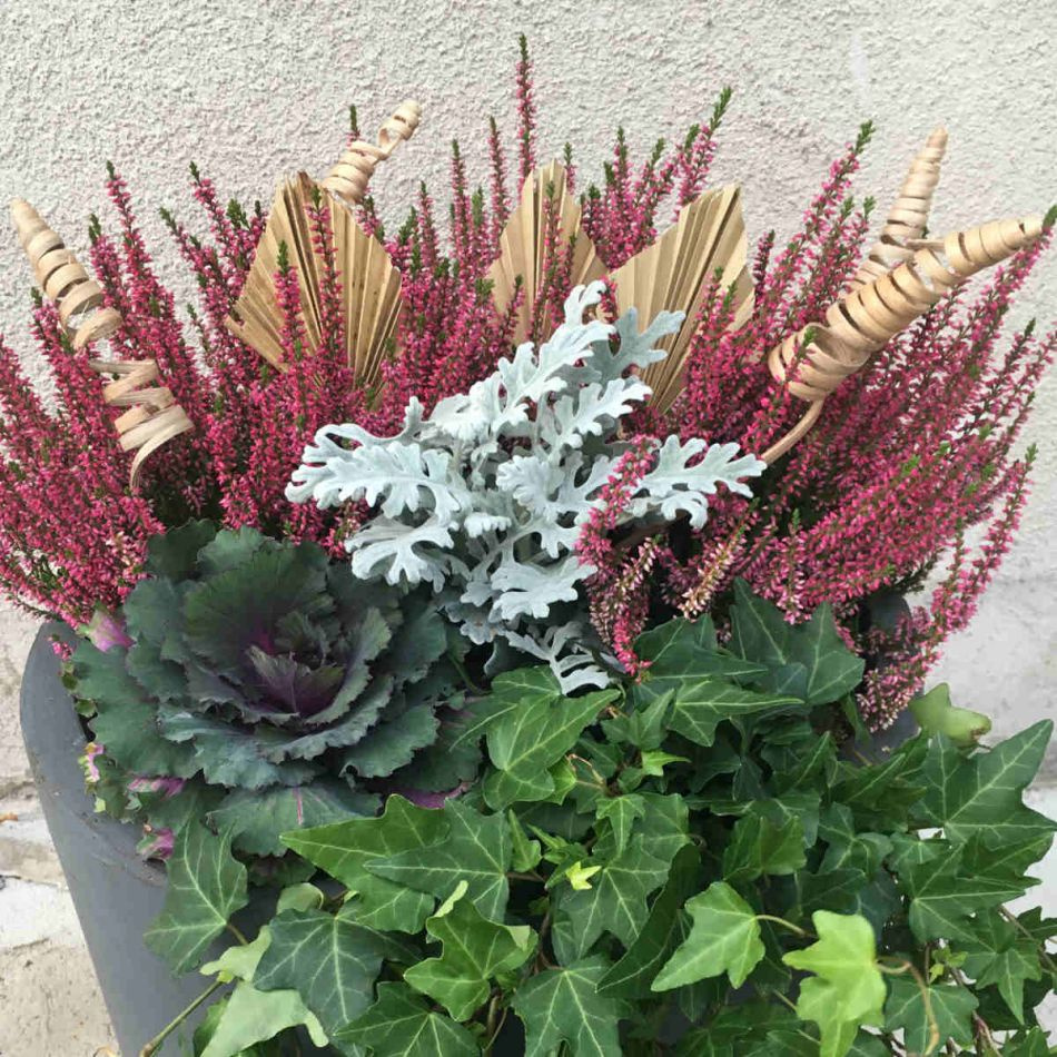 Palmblad torkade, 10 st